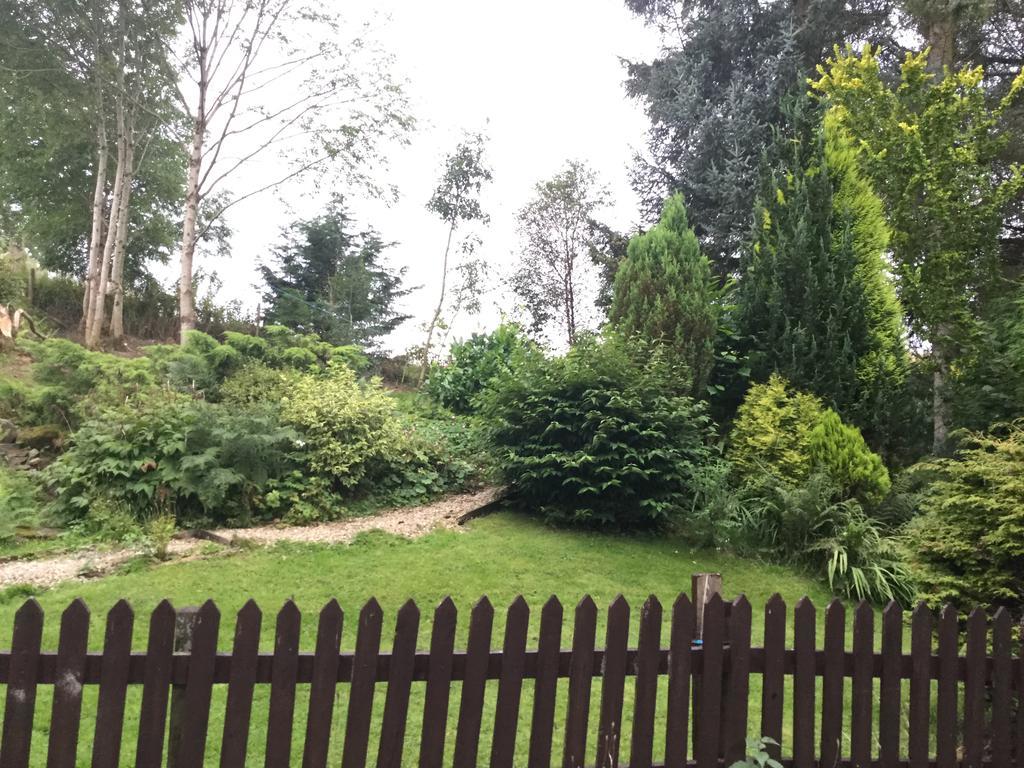 梅斯瓦勒德住宿加早餐旅馆 勒兰蒂德威尔斯 外观 照片